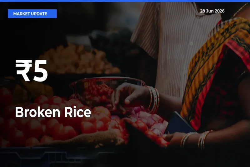 Broken Rice Prices Gain Momentum Across 5+ Mandis – Market Trend Strengthens