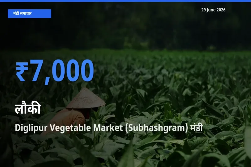 आज लौकी के सबसे ज़्यादा दाम Diglipur Vegetable Market (Subhashgram) मंडी में दर्ज