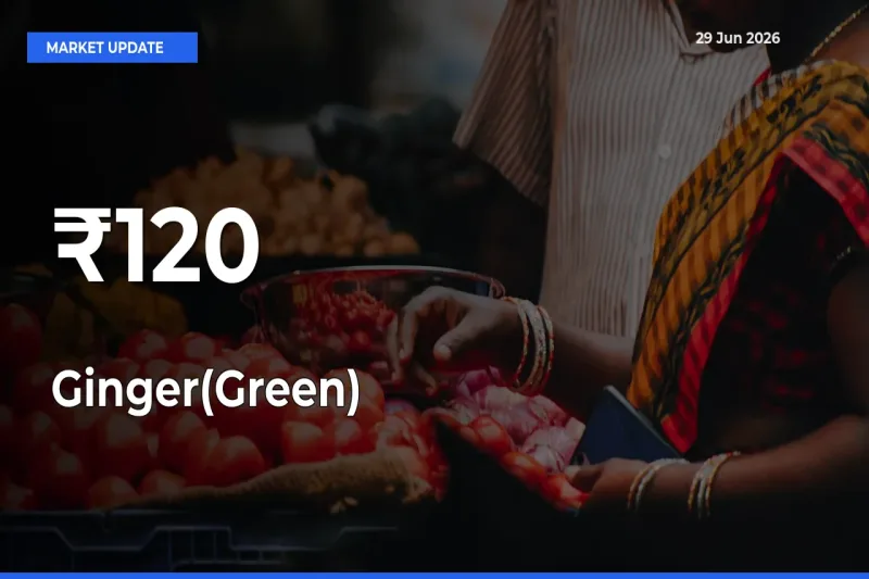 Ginger(Green) Rates Show Broad Movement Across 120+ Mandis