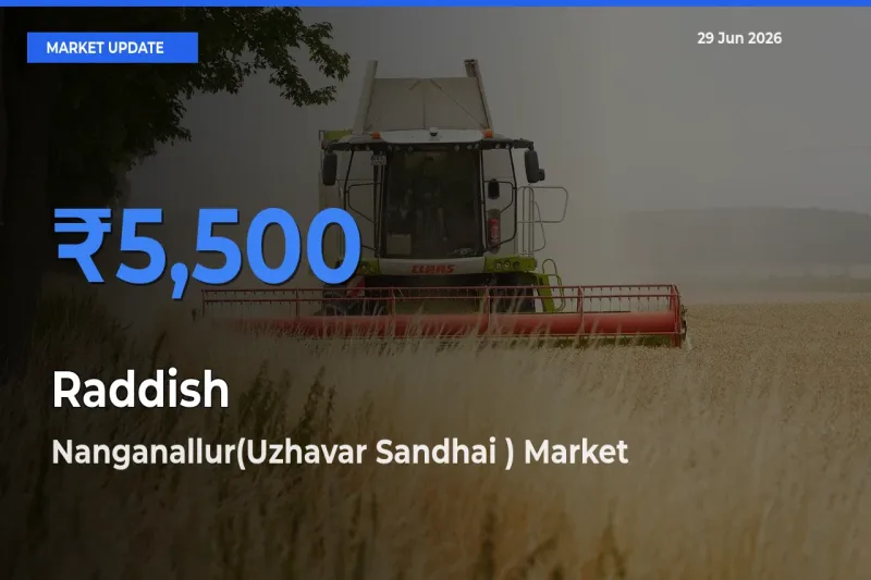 Nanganallur(Uzhavar Sandhai ) Tops Raddish Mandi Rates Today