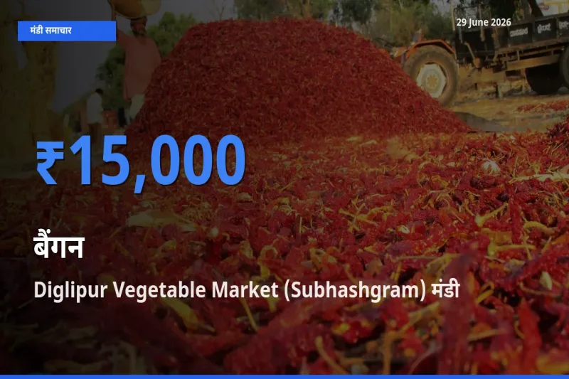 आज का मंडी भाव: बैंगन के सबसे ज़्यादा दाम Diglipur Vegetable Market (Subhashgram) में