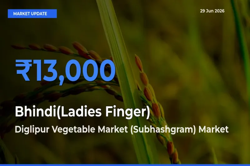 Diglipur Vegetable Market (Subhashgram) Leads as Top Mandi for Bhindi(Ladies Finger) Prices