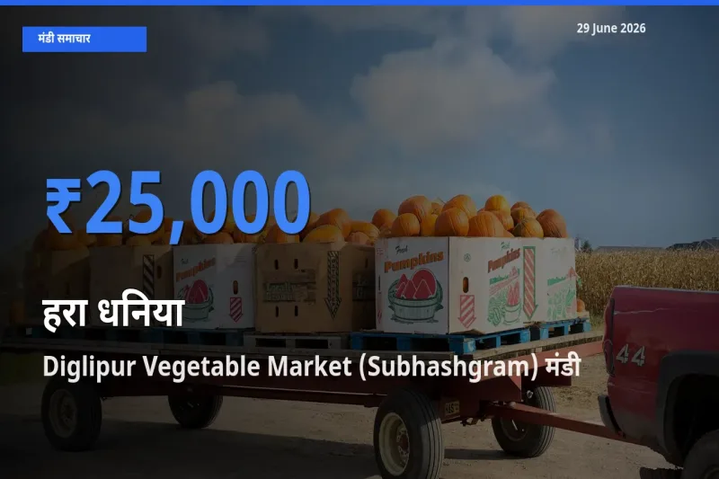 किसानों की पसंद बना Diglipur Vegetable Market (Subhashgram), हरा धनिया के सबसे अच्छे दाम