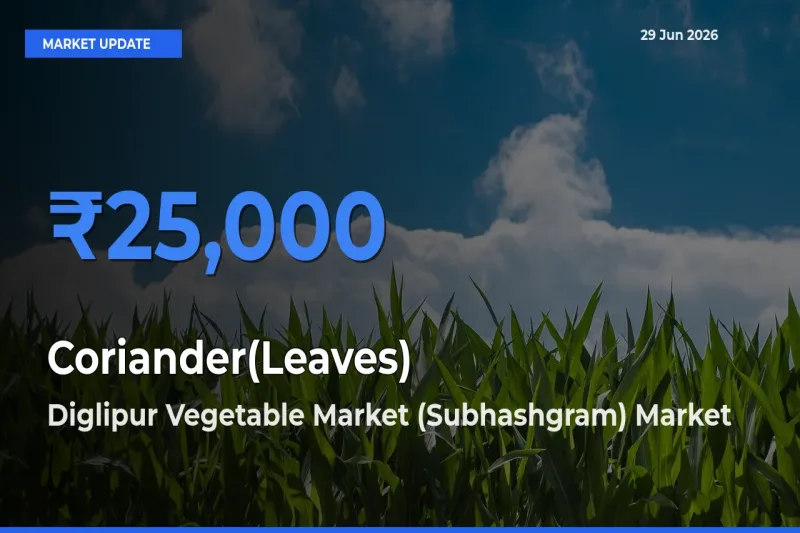 Coriander(Leaves) Mandi Rate Today: Diglipur Vegetable Market (Subhashgram) Tops the List