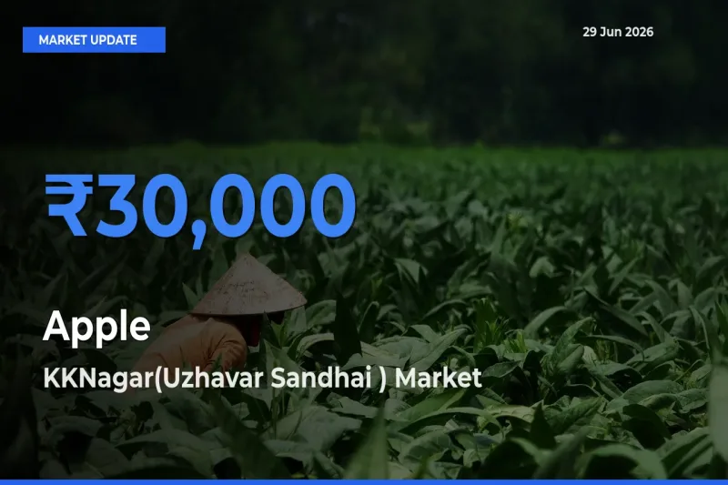 KKNagar(Uzhavar Sandhai ) Offers ₹30,000 – Highest Apple Rate Today