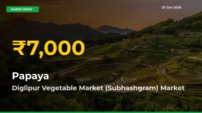 Why Papaya Prices Are Climbing in Diglipur Vegetable Market (Subhashgram) – Today’s New High Explained
