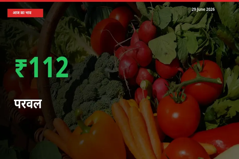 29 June अपडेट: परवल के दाम मंडी में 111.66% उछले