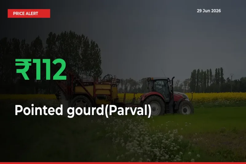 This Mandi Records 111.66% Jump in Pointed gourd(Parval) Prices