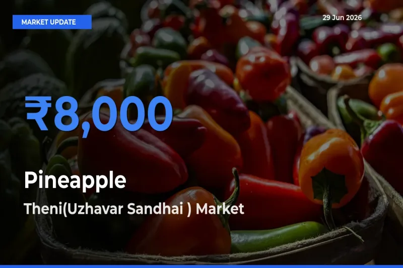 Theni(Uzhavar Sandhai ) Tops Pineapple Mandi Rates Today