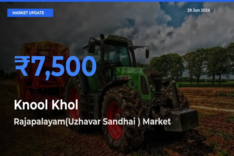 Rajapalayam(Uzhavar Sandhai ) Emerges as Top Mandi for Knool Khol Prices Today