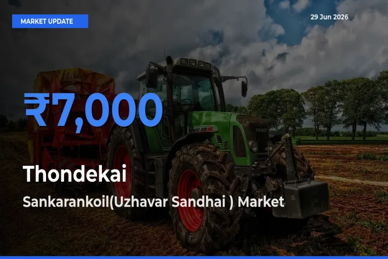 Market Watch: Sankarankoil(Uzhavar Sandhai ) Becomes Top Mandi for Thondekai