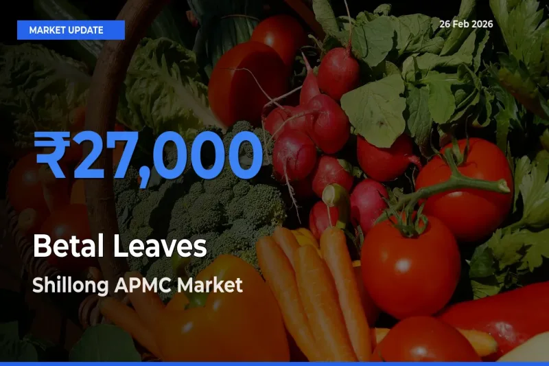 Market Watch: Shillong APMC Becomes Top Mandi for Betal Leaves
