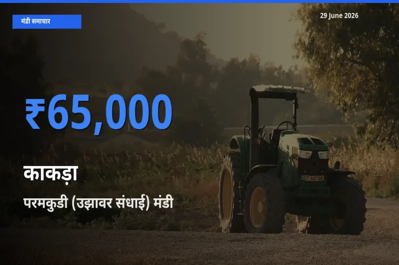 आज काकड़ा के सबसे ज़्यादा दाम परमकुडी (उझावर संधाई) मंडी में दर्ज