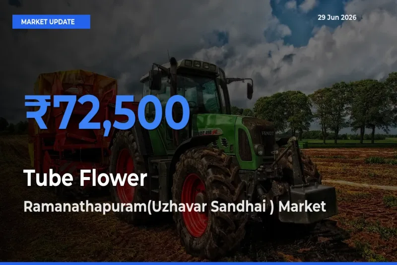 Ramanathapuram(Uzhavar Sandhai ) Records Highest ₹72,500 Rate for Tube Flower