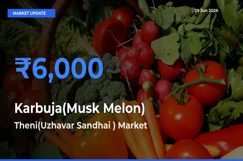 Theni(Uzhavar Sandhai ) Tops Karbuja(Musk Melon) Mandi Rates Today