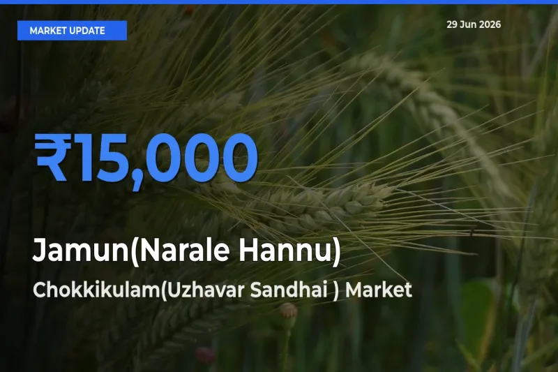 Farmers Prefer Chokkikulam(Uzhavar Sandhai ) as Jamun(Narale Hannu) Hits Highest Rate