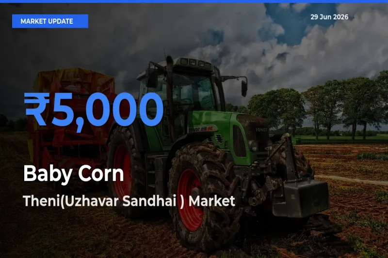 Theni(Uzhavar Sandhai ) Offers ₹5,000 – Highest Baby Corn Rate Today