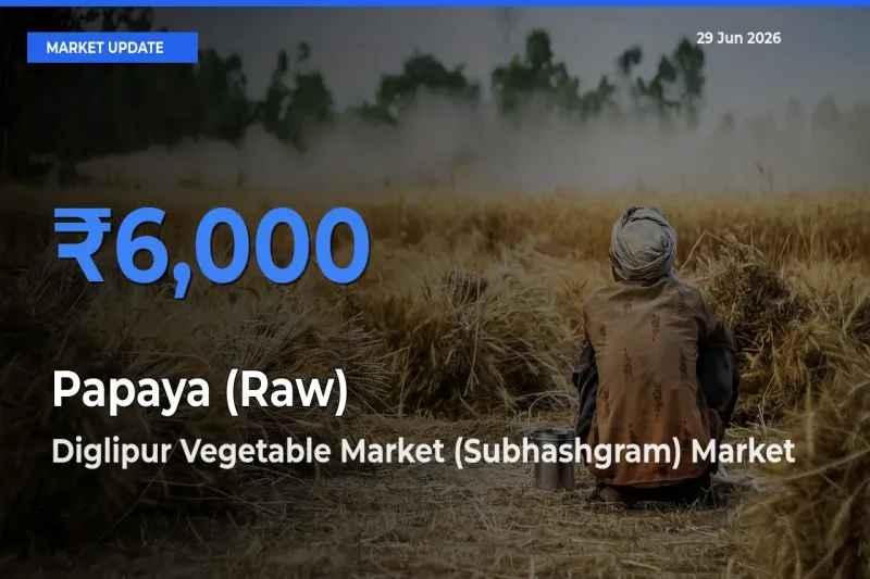 Farmers Prefer Diglipur Vegetable Market (Subhashgram) as Papaya (Raw) Hits Highest Rate