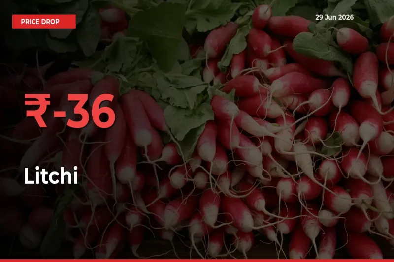 Sudden Shock! Litchi Drops 36.18% in 24 Hours at Top Mandis