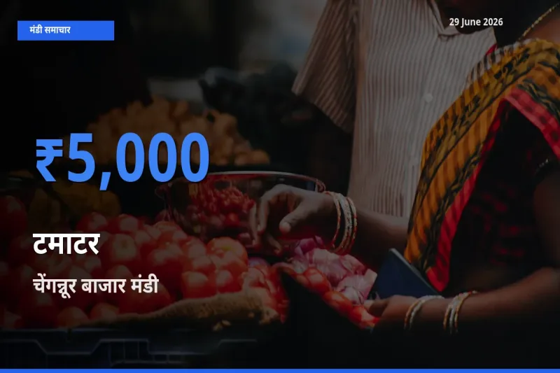 टॉप मंडी बना चेंगन्नूर बाजार! टमाटर के सबसे ऊँचे दाम यहीं दर्ज
