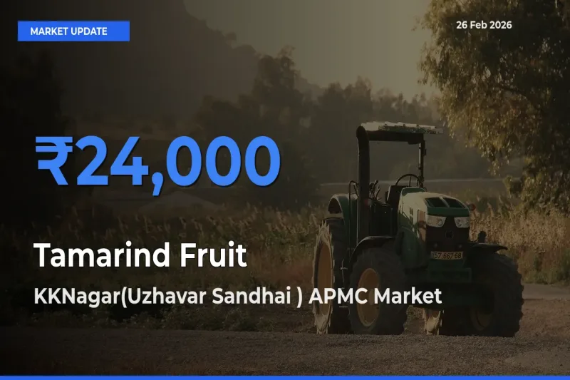 KKNagar(Uzhavar Sandhai ) APMC Offers ₹24,000 – Highest Tamarind Fruit Rate Today