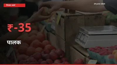 स्थानीय मंडी में पालक के दाम अचानक 34.94% गिरे, किसानों की चिंता बढ़ी