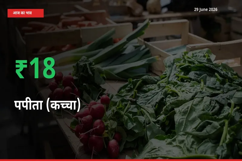तेज़ तेजी! मंडी में पपीता (कच्चा) के दाम 17.65% चढ़े
