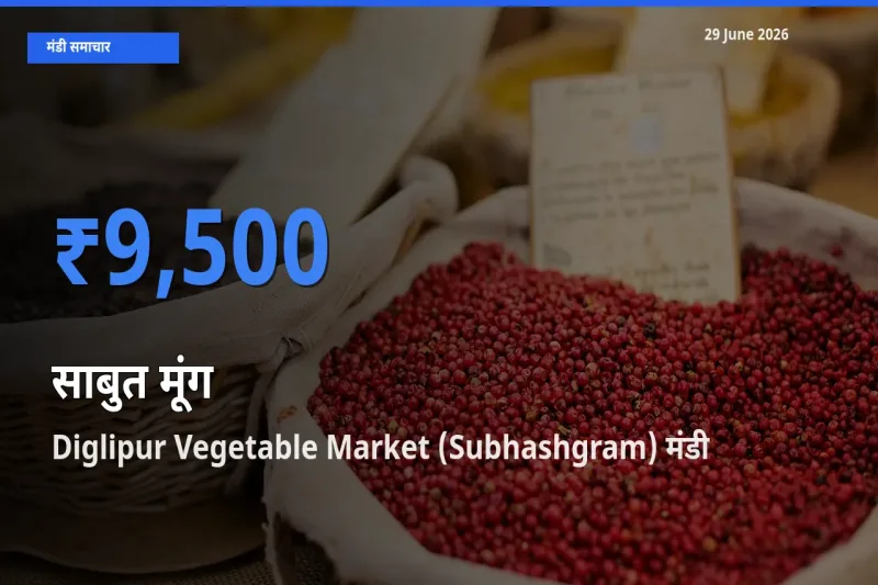 आज साबुत मूंग के सबसे ज़्यादा दाम Diglipur Vegetable Market (Subhashgram) मंडी में दर्ज