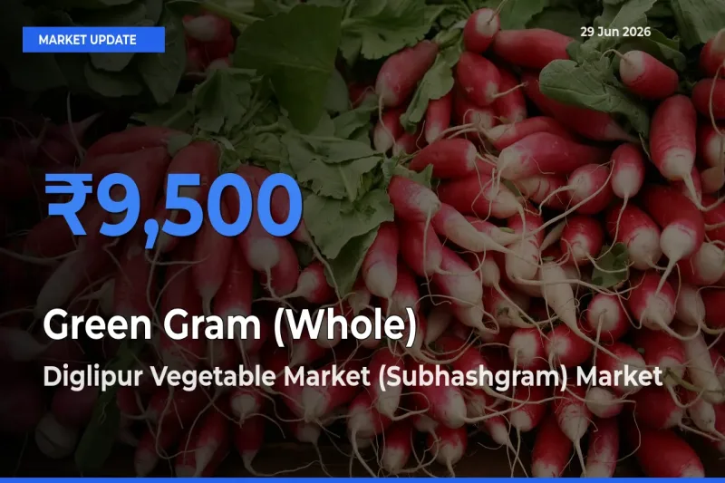 Top Performer! Diglipur Vegetable Market (Subhashgram) Offers Best Green Gram (Whole) Price Today