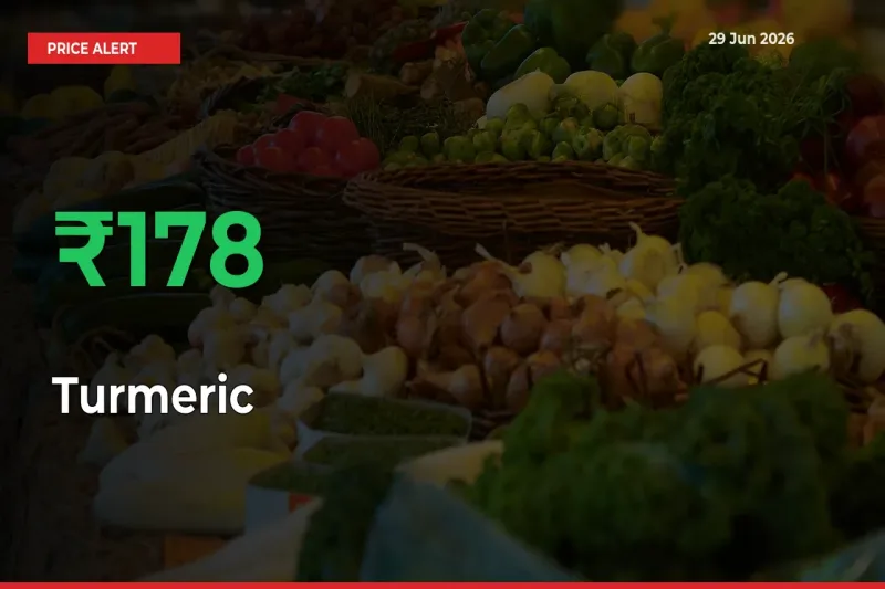 Sudden 177.69% Rally in Turmeric Prices Across Mandis