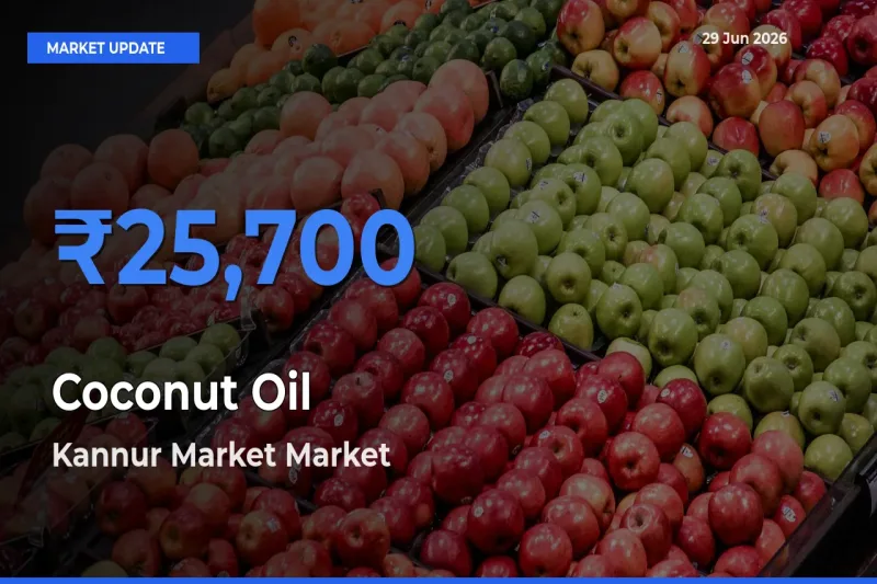 Market Watch: Kannur Market Becomes Top Mandi for Coconut Oil