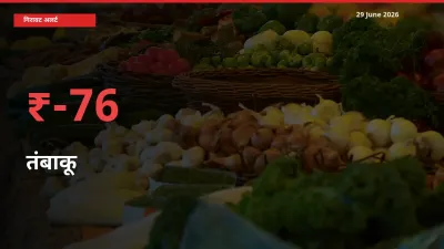 आज का मंडी भाव: तंबाकू के दाम मंडी में 75.88% नीचे