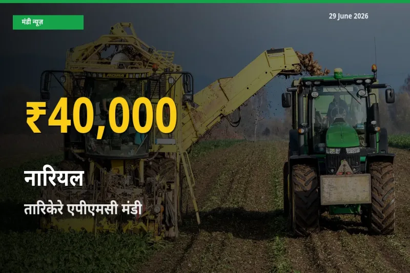 30 दिनों में सबसे ऊँचे स्तर पर नारियल के दाम, तारिकेरे एपीएमसी में उछाल