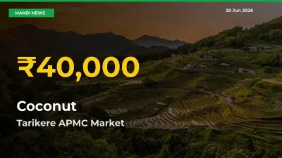 Farmers Benefit as Coconut Rate Touches New High in Tarikere APMC