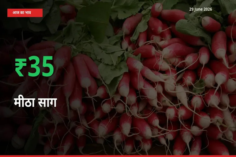 स्थानीय मंडी में मीठा साग के दाम अचानक 34.51% उछले, किसान सतर्क