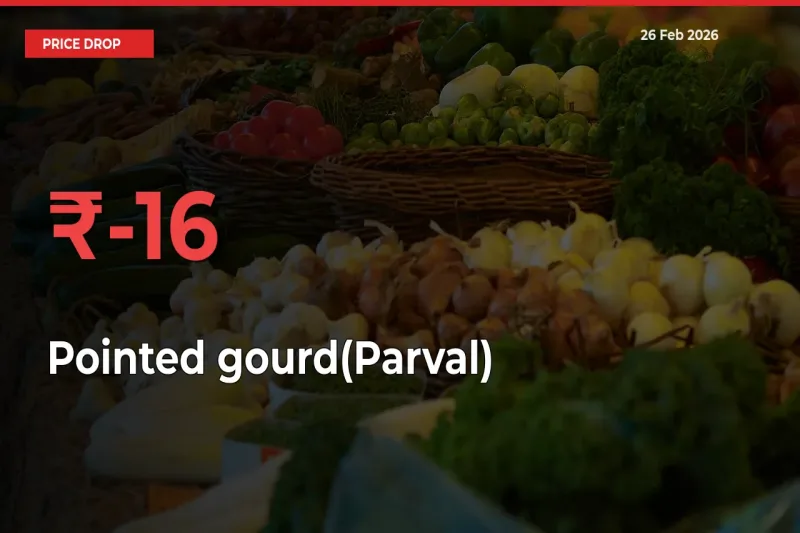 16.03% Drop in Pointed gourd(Parval) Prices – Mandi Sees Sudden Fall