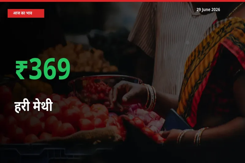 तेज़ तेजी! मंडी में हरी मेथी के दाम 368.52% चढ़े