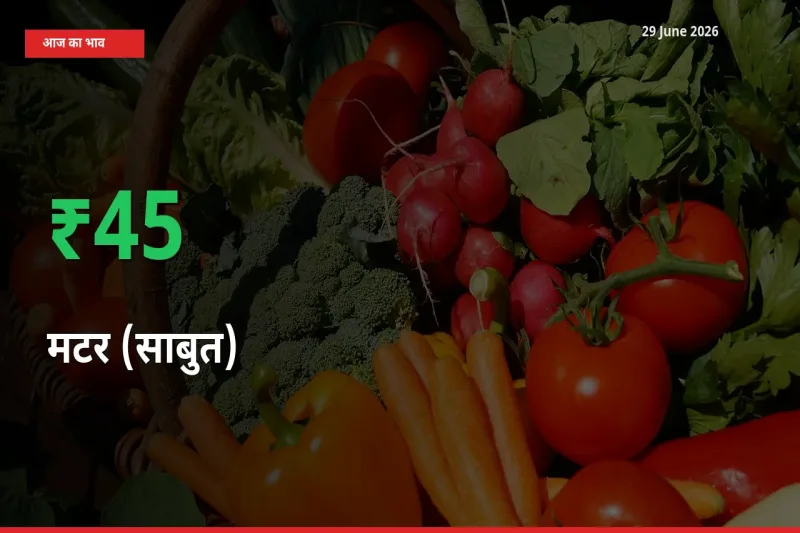 तेज़ तेजी! मंडी में मटर (साबुत) के दाम 44.62% चढ़े