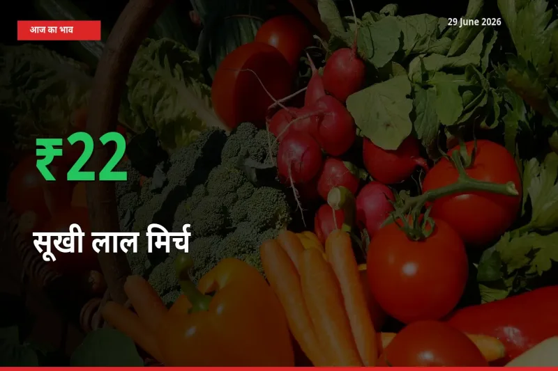 आज का मंडी भाव: सूखी लाल मिर्च के दाम मंडी में 21.51% ऊपर
