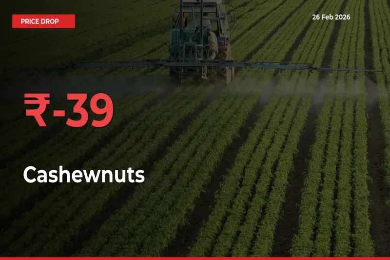 Cashewnuts Falls 39.1% at Mandis