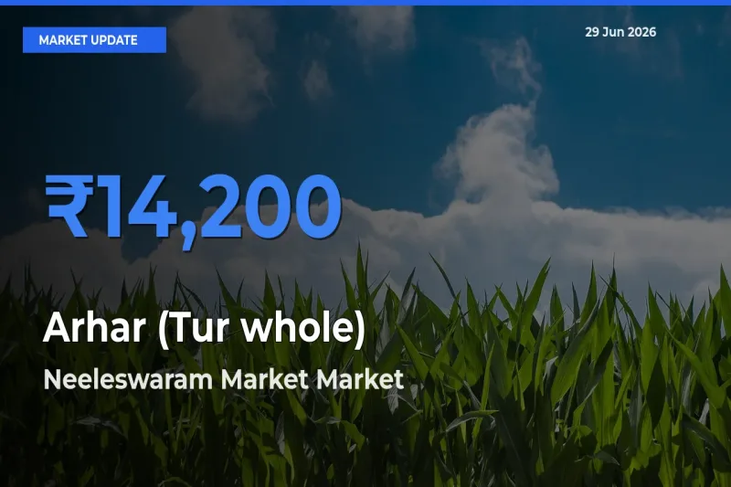 Neeleswaram Market Leads as Top Mandi for Arhar (Tur whole) Prices