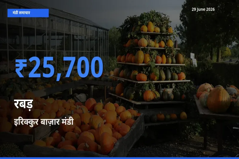 आज रबड़ के सबसे ऊँचे दाम ₹25,700 इरिक्कुर बाज़ार मंडी में