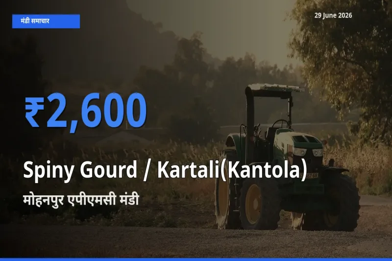 29 June अपडेट: Spiny Gourd / Kartali(Kantola)
 के सबसे ऊँचे दाम मोहनपुर एपीएमसी मंडी में