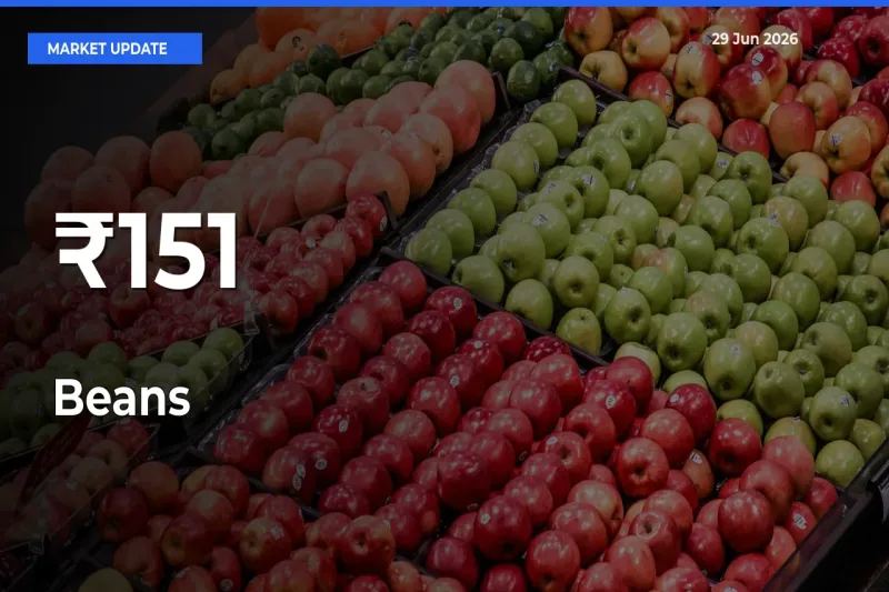Beans Prices Gain Momentum Across 151+ Mandis – Market Trend Strengthens