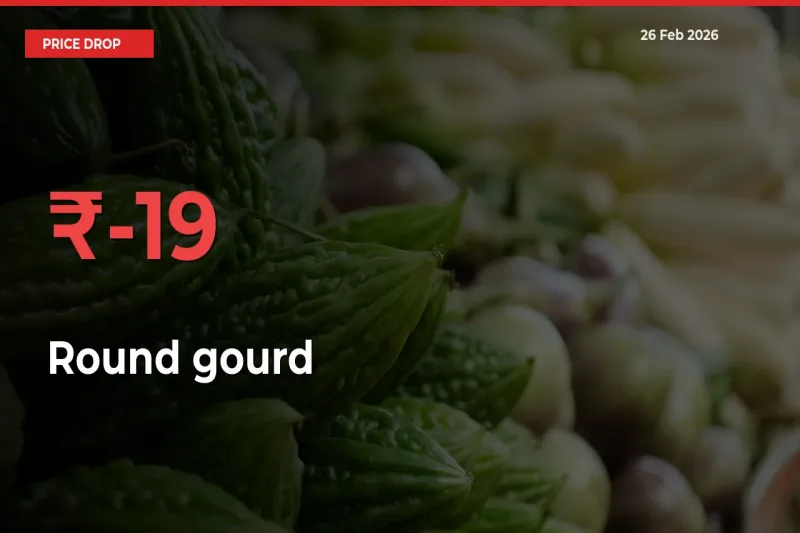 Round gourd Prices Drop 18.92% in 24 Hours at Major Mandis