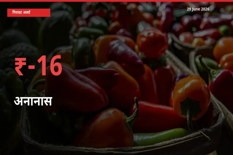 बाज़ार संकेत: अनानास के भाव मंडी में 15.61% नीचे