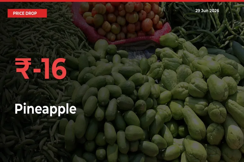 15.61% Drop in Pineapple Prices – Mandi Sees Sudden Fall