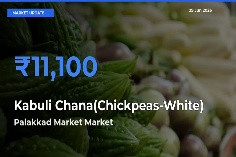 Palakkad Market Emerges as Top Mandi for Kabuli Chana(Chickpeas-White) Prices Today