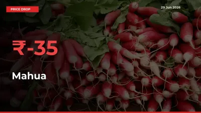 Mahua Mandi Rate Today: Prices Fall 35.23% at Market