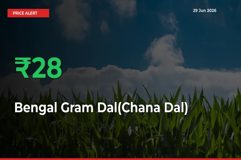 Bengal Gram Dal(Chana Dal) Prices Rise 28.19% in a Day at Major Mandis
